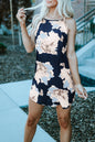 Well Traveled Dress